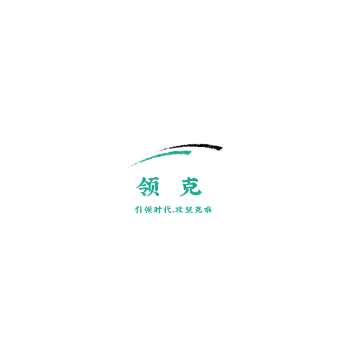 宾果bingologo设计
