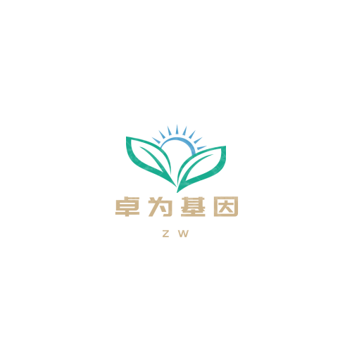 806logo设计