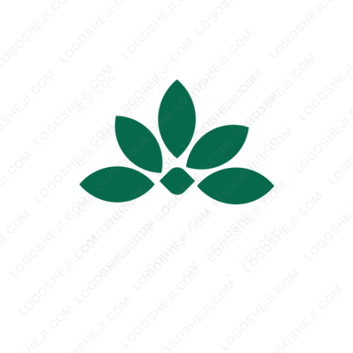 卡肤泉logo设计