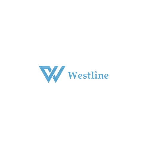 百源金融logo设计