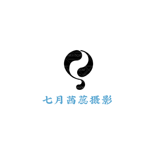 Black Fanlogo设计