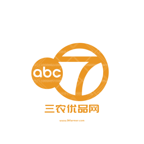 恒宇新科技有限公司logo设计