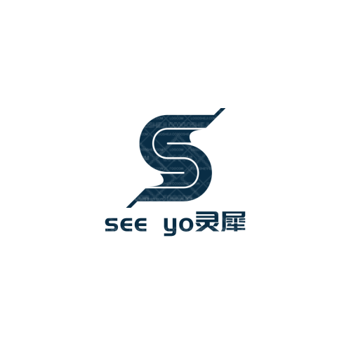 天天潮品logo设计