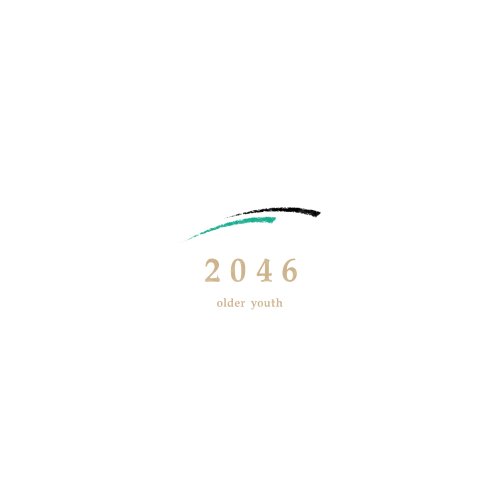 数海信息logo设计