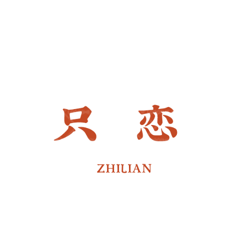 众赢得logo设计