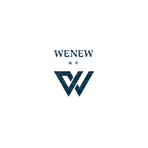 海城中校logo设计