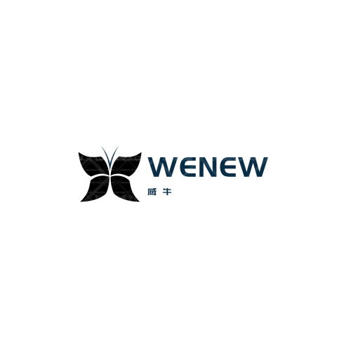 币汇国际logo设计