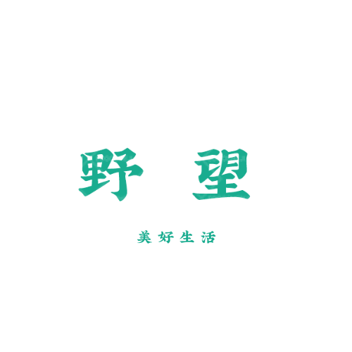 小鱼毛衣logo设计